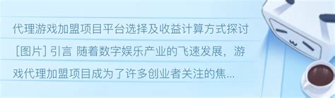 游戲幣加盟代理的全流程指南與投資管理策略